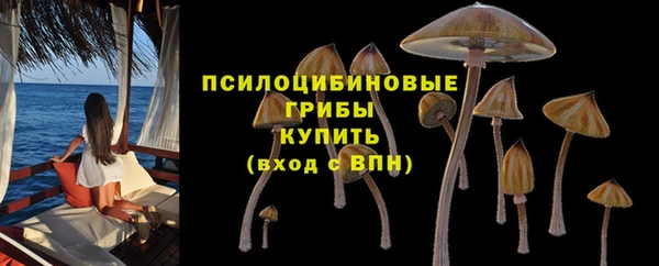 стаф Лабытнанги