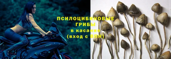 стаф Лабытнанги
